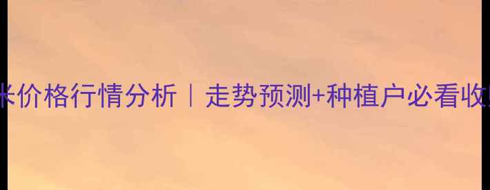 图片 🌾衡水玉米价格行情分析｜走势预测+种植户必看收购指南🌾2