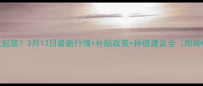 图片 🌾辽宁玉米价格大起底！3月13日最新行情+补贴政策+种植建议全（附种植补贴申请攻略）