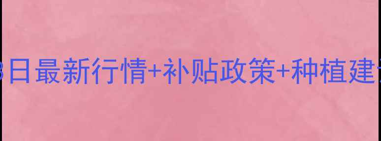 图片 🌾辽宁玉米价格大起底！3月13日最新行情+补贴政策+种植建议全（附种植补贴申请攻略）1