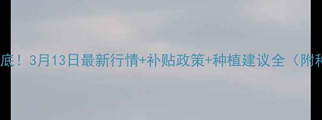 图片 🌾辽宁玉米价格大起底！3月13日最新行情+补贴政策+种植建议全（附种植补贴申请攻略）2