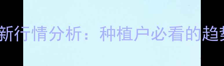 图片 🌾邳州玉米价格最新行情分析：种植户必看的趋势解读与市场策略1