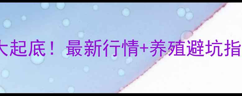 图片 🌾锦州仔猪价格大起底！最新行情+养殖避坑指南，养户必存！2