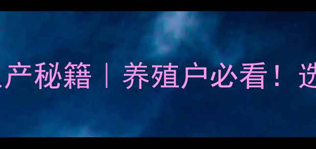图片 🌾饲料调质打散器高效生产秘籍｜养殖户必看！选对设备年省5万成本攻略