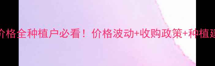 图片 🌾黑龙江省玉米潮粮价格全种植户必看！价格波动+收购政策+种植建议，附最新行情数据