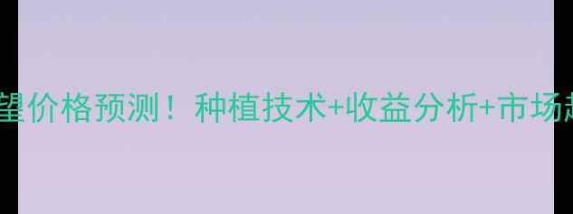 图片 🌾龙灯稻望价格预测！种植技术+收益分析+市场趋势全🌾1