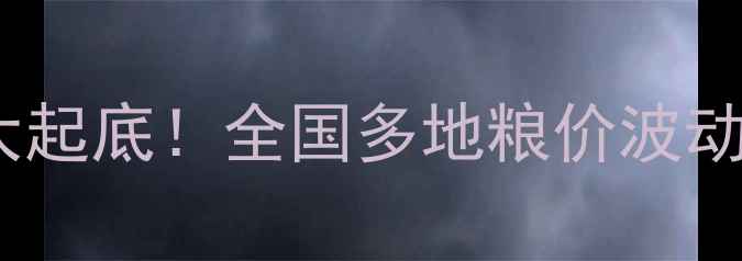 图片 🌾💰面粉价格行情大起底！全国多地粮价波动全（附采购攻略）2