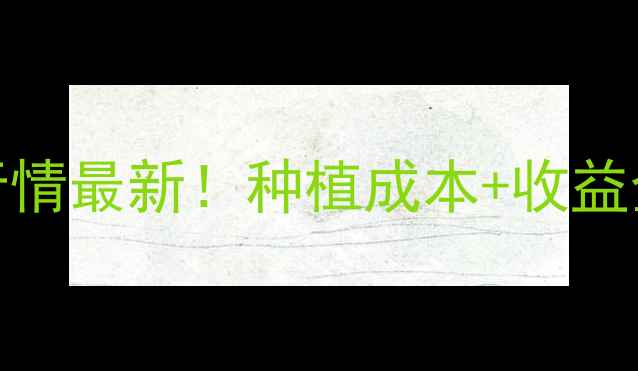 图片 🌿下青菊价格行情最新！种植成本+收益全，农民必看！