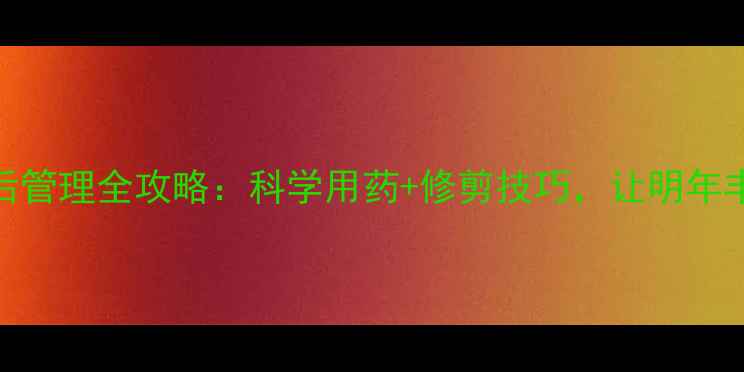 图片 🍑桃树采摘后管理全攻略：科学用药+修剪技巧，让明年丰产有保障！