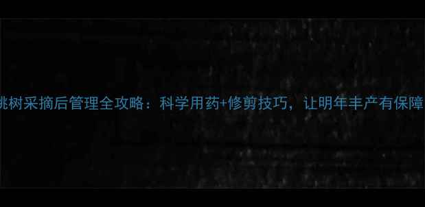 图片 🍑桃树采摘后管理全攻略：科学用药+修剪技巧，让明年丰产有保障！2