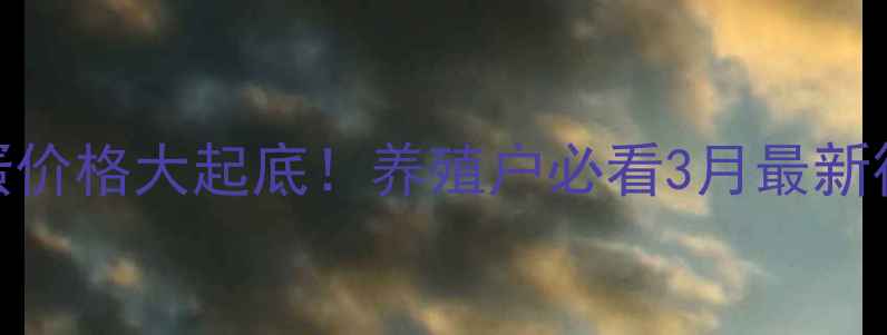 图片 🍗陕西铜川鸡蛋价格大起底！养殖户必看3月最新行情+波动原因2