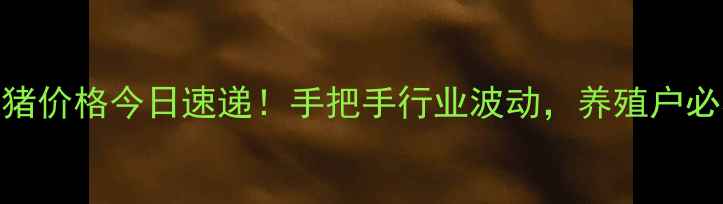 图片 🐷云南大猪价格今日速递！手把手行业波动，养殖户必看干货🐷