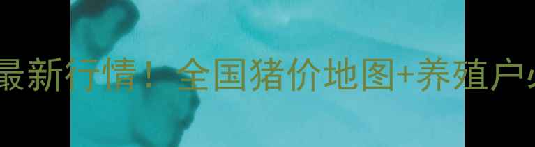 图片 🐷今日生猪价格最新行情！全国猪价地图+养殖户必看养殖技巧🔥1