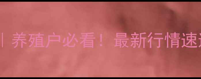 图片 🐷南平生猪价格波动全｜养殖户必看！最新行情速递+未来3个月趋势预测2