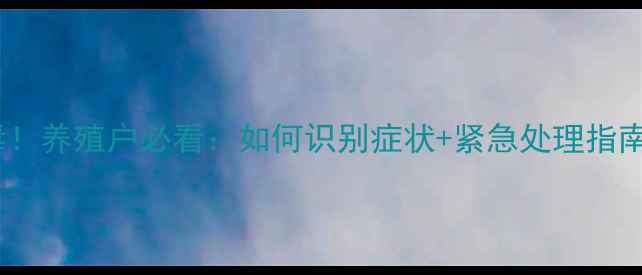 图片 🐷猪中毒饲料中毒！养殖户必看：如何识别症状+紧急处理指南（附真实案例）1