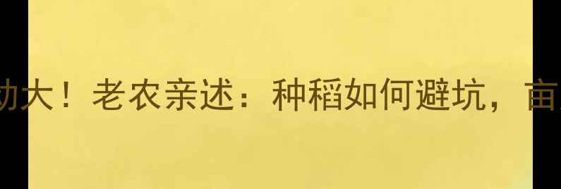 图片 💡新稻价格波动大！老农亲述：种稻如何避坑，亩产多赚500元？