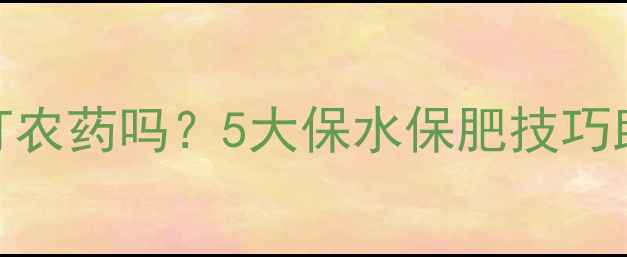 图片 💦持续干旱还能打农药吗？5大保水保肥技巧助您高效管理作物