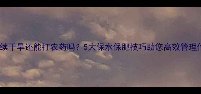 图片 💦持续干旱还能打农药吗？5大保水保肥技巧助您高效管理作物2
