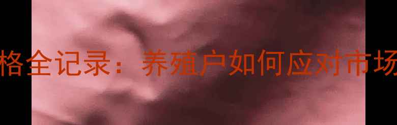 图片 📅8月鸡蛋价格全记录：养殖户如何应对市场波动？🥚💰2