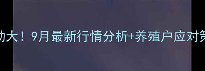图片 📊徐州鸡蛋价格波动大！9月最新行情分析+养殖户应对策略（附市场预测）