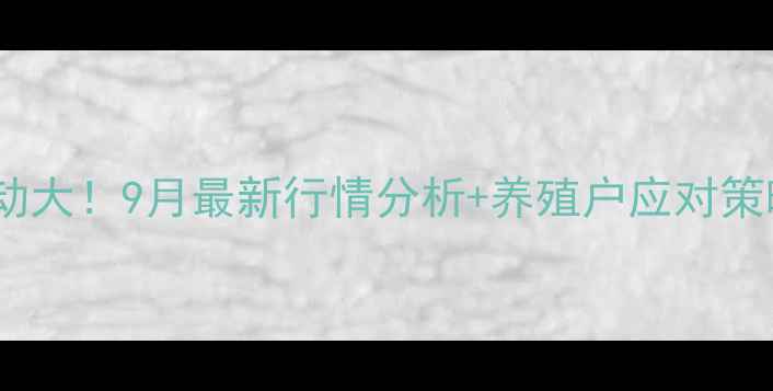 图片 📊徐州鸡蛋价格波动大！9月最新行情分析+养殖户应对策略（附市场预测）2