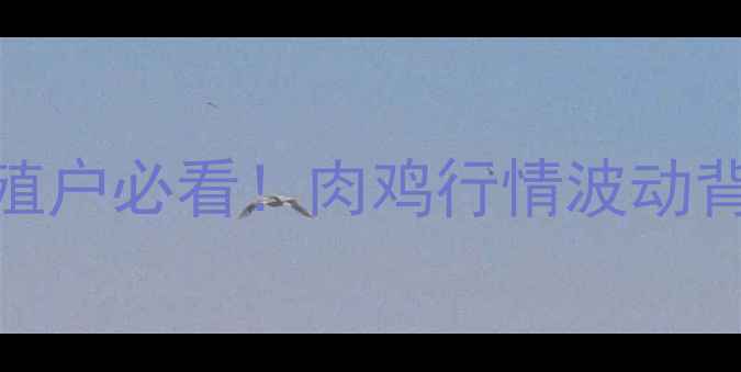 图片 📊石家庄肉鸡价格全养殖户必看！肉鸡行情波动背后的5大真相+应对策略
