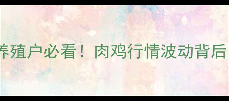 图片 📊石家庄肉鸡价格全养殖户必看！肉鸡行情波动背后的5大真相+应对策略2