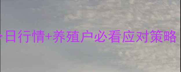 图片 📊鸡蛋价格波动全今日行情+养殖户必看应对策略（附最新波动数据）