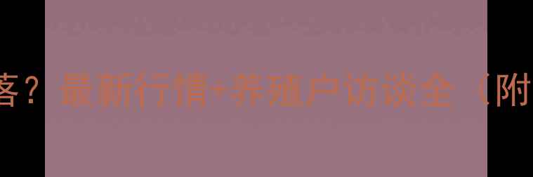 图片 📊鸡西鸡蛋价格大起大落？最新行情+养殖户访谈全（附免费数据表）📅X月X日2