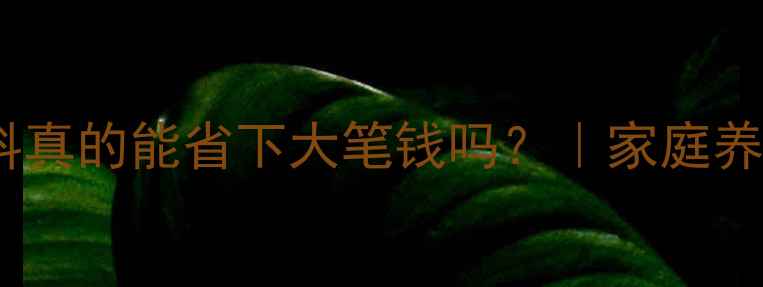 图片 📌养兔做饲料真的能省下大笔钱吗？｜家庭养殖全攻略✅1