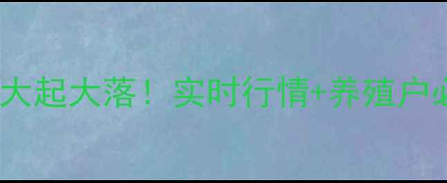 图片 📌商丘鸡蛋价格大起大落！实时行情+养殖户必看避坑指南🍳1