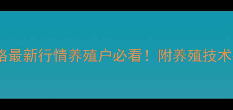 图片 📌安徽土鸡回收价格最新行情养殖户必看！附养殖技术要点+市场趋势分析