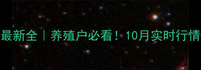 图片 📌广西生猪价格最新全｜养殖户必看！10月实时行情+养殖避坑指南1