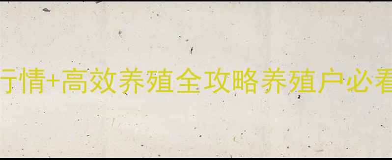 图片 📌洛阳817毛鸡价格行情+高效养殖全攻略养殖户必看！附成本收益分析1