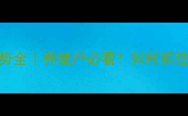 图片 📌淘汰鸡价格走势全｜养殖户必看！如何抓住市场红利期？🌟