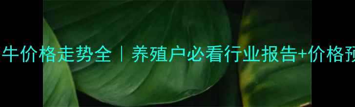 图片 📌育肥牛价格走势全｜养殖户必看行业报告+价格预测🌾1