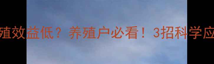 图片 📌饲料硬度高=养殖效益低？养殖户必看！3招科学应对饲料硬度难题2