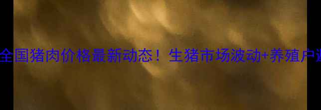 图片 🔥1月13日全国猪肉价格最新动态！生猪市场波动+养殖户避坑指南📊