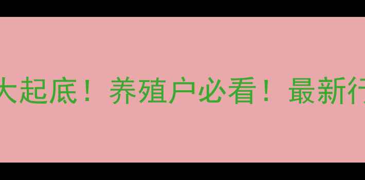 图片 🔥712生猪价格大起底！养殖户必看！最新行情+养殖技巧全