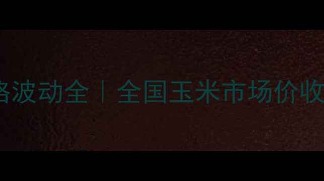 图片 🔥9月玉米价格波动全｜全国玉米市场价收购价走势图🌾