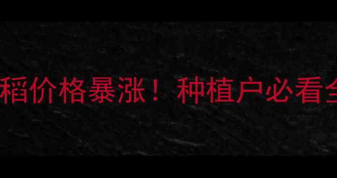 图片 🔥东北水稻价格暴涨！种植户必看全攻略🔥1