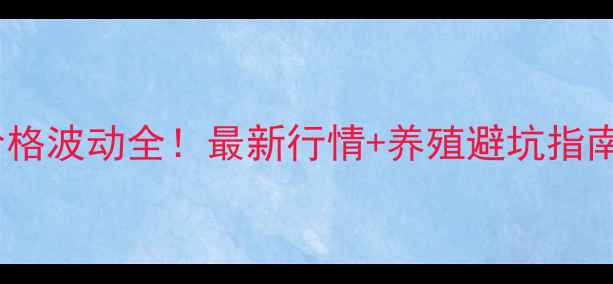 图片 🔥东营蛋鸡毛鸡价格波动全！最新行情+养殖避坑指南（附全年趋势）1