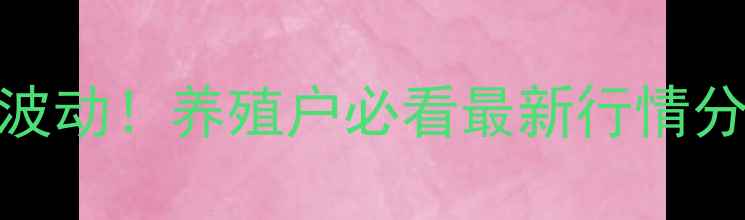 图片 🔥丹东毛猪价格剧烈波动！养殖户必看最新行情分析+养殖避坑指南💰2