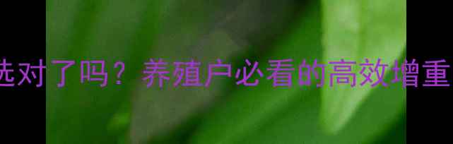 图片 🔥乳猪饲料选对了吗？养殖户必看的高效增重秘籍！🐷✨2