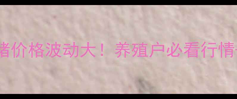 图片 🔥云南9月生猪价格波动大！养殖户必看行情+政策解读🐷2