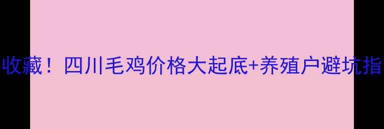 图片 🔥今日四川农村人必收藏！四川毛鸡价格大起底+养殖户避坑指南（附最新报价表）