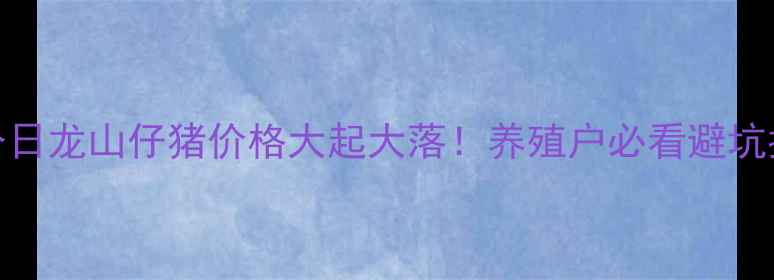 图片 🔥今日龙山仔猪价格大起大落！养殖户必看避坑指南