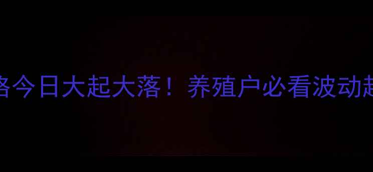 图片 🔥全国肉鸡价格今日大起大落！养殖户必看波动趋势+养殖攻略2