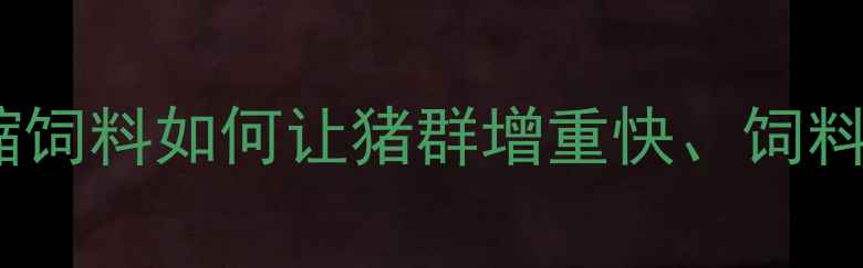 图片 🔥养殖户必看！桑普猪浓缩饲料如何让猪群增重快、饲料转化率翻倍？养殖全程！2