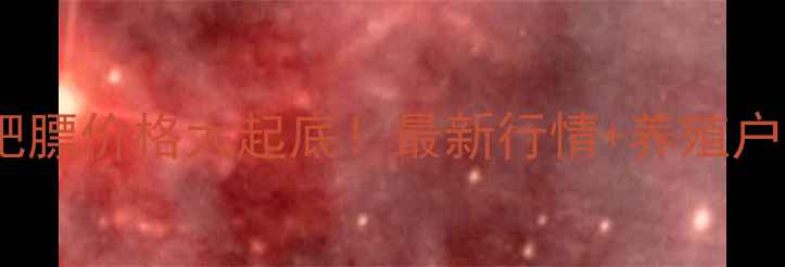 图片 🔥北京猪肉肥膘价格大起底！最新行情+养殖户必看趋势🐷1