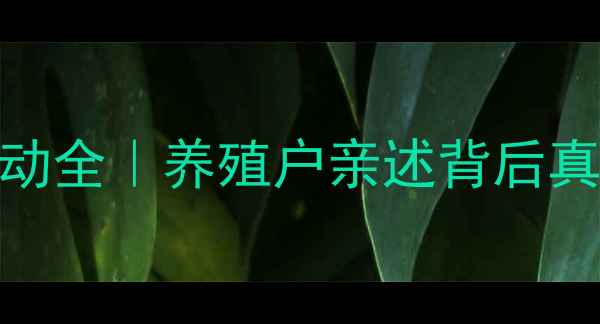 图片 🔥南充猪肉价格波动全｜养殖户亲述背后真相+选购避坑指南2